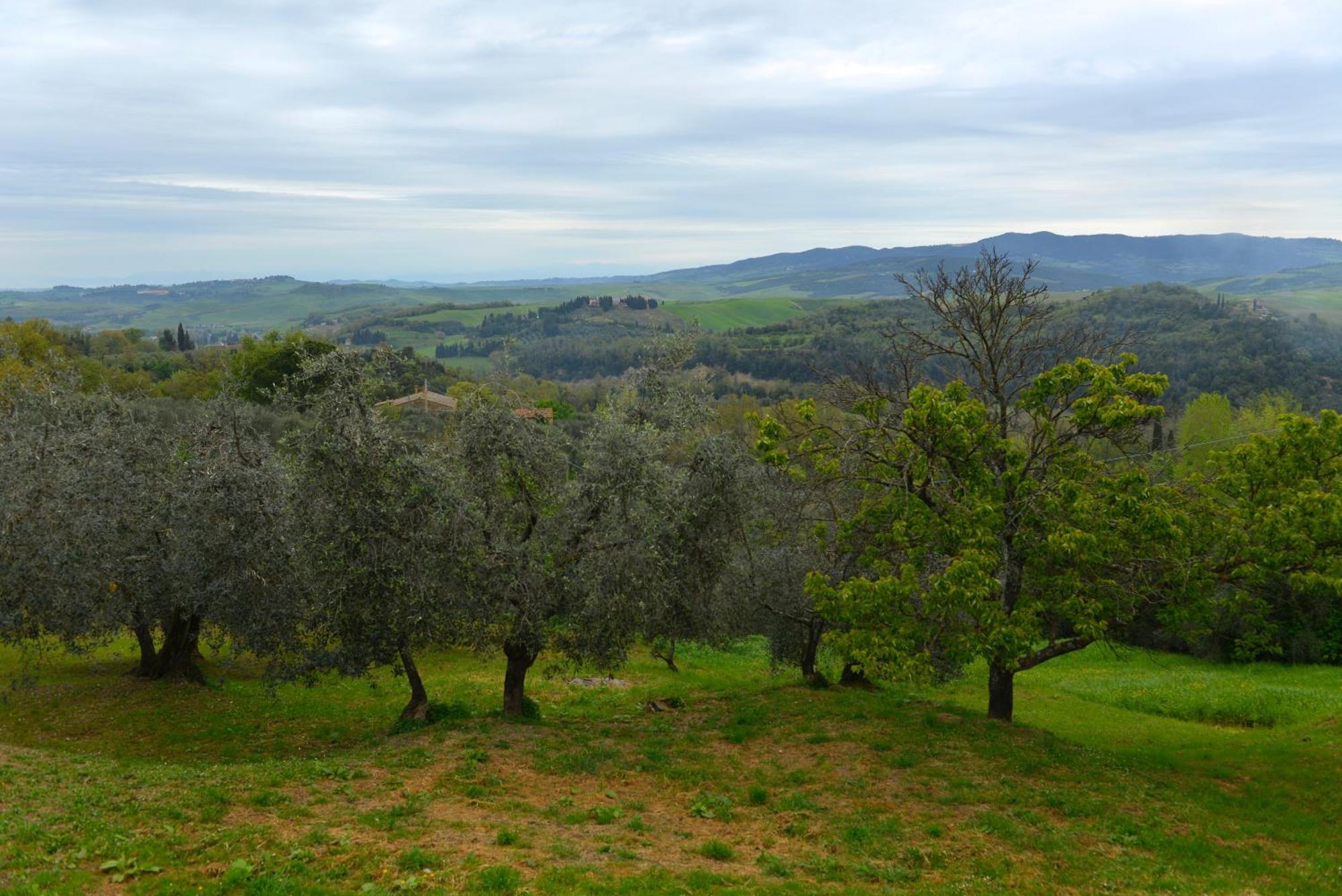 Apartmán Casa Zeno Volterra Exteriér fotografie