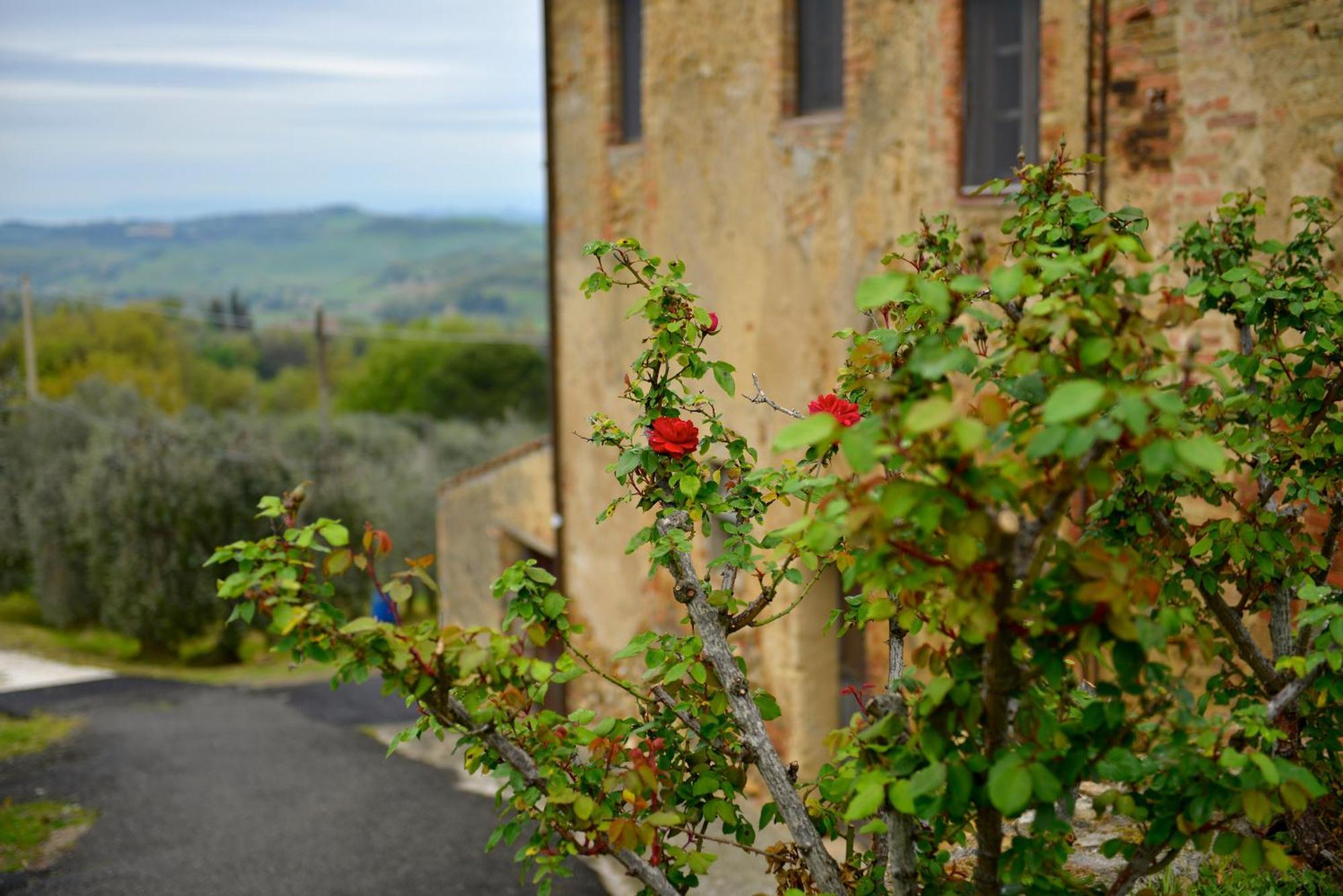 Apartmán Casa Zeno Volterra Exteriér fotografie